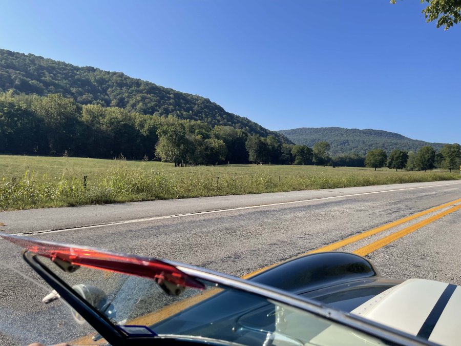 IMG_9439.jpg IMG_9439.jpg