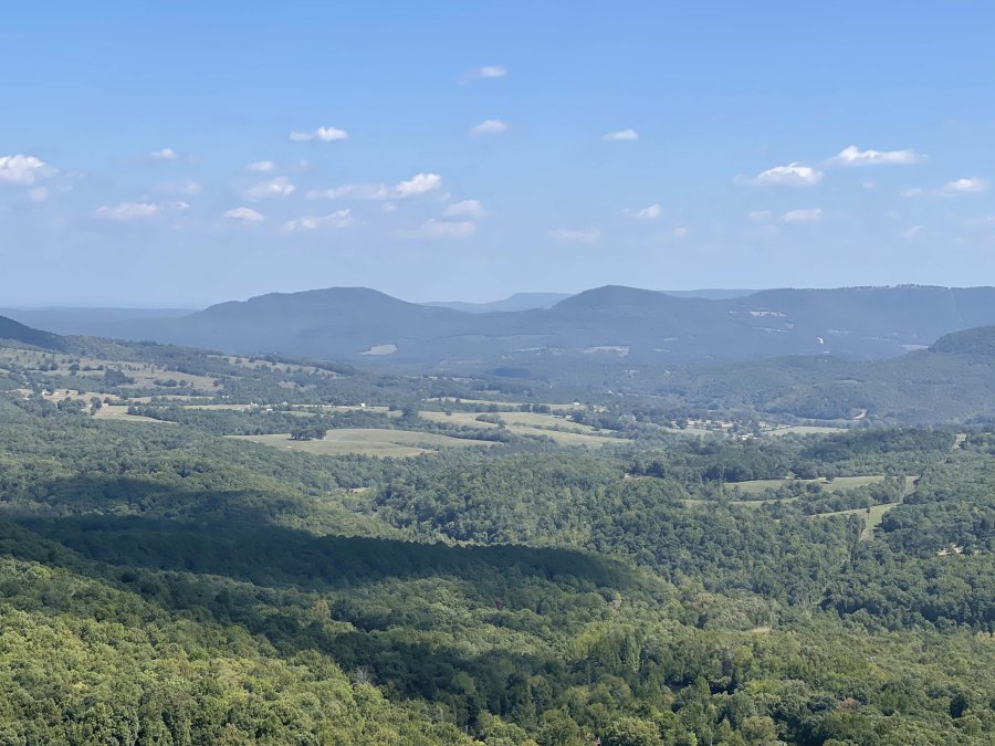 IMG_9459.jpg IMG_9459.jpg